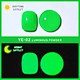Glow in the Dark Neon Luminous Pigment Powder